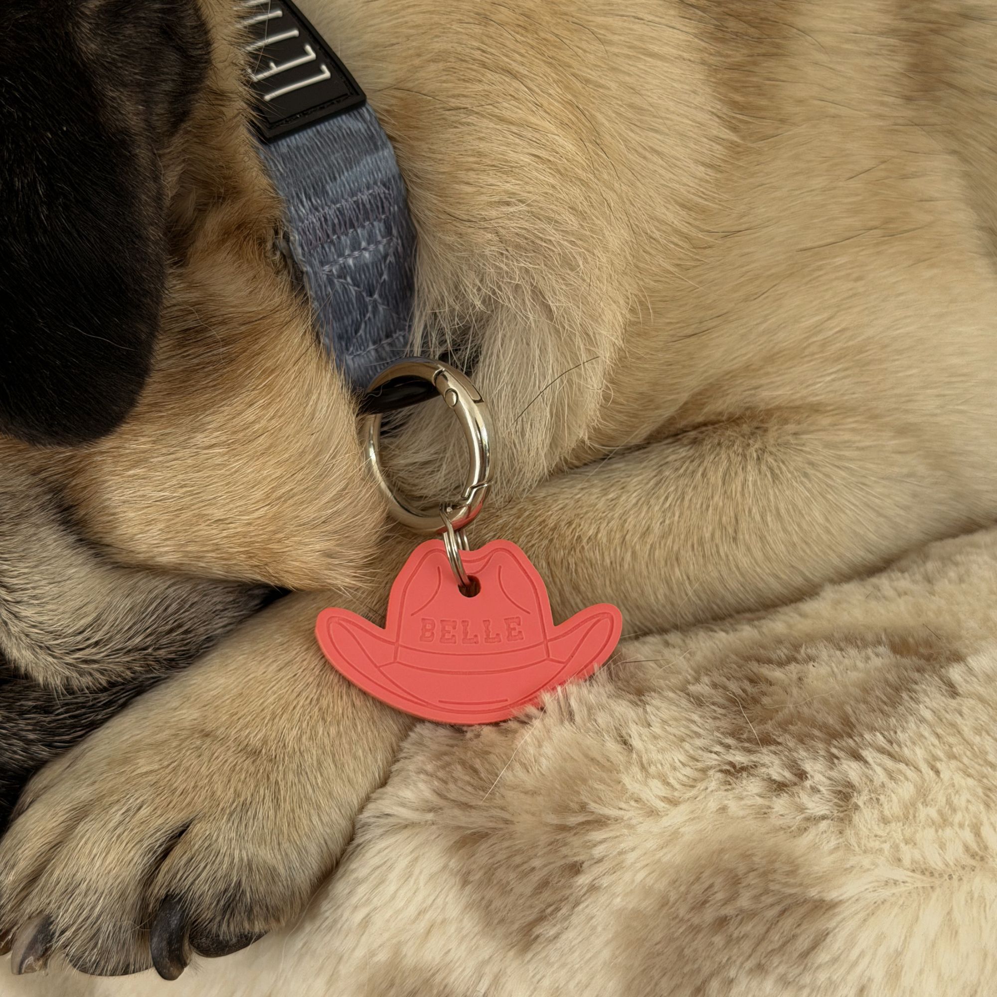 Texas Cowboy / Cowgirl Hat Shape Pet ID Tag - Image 3