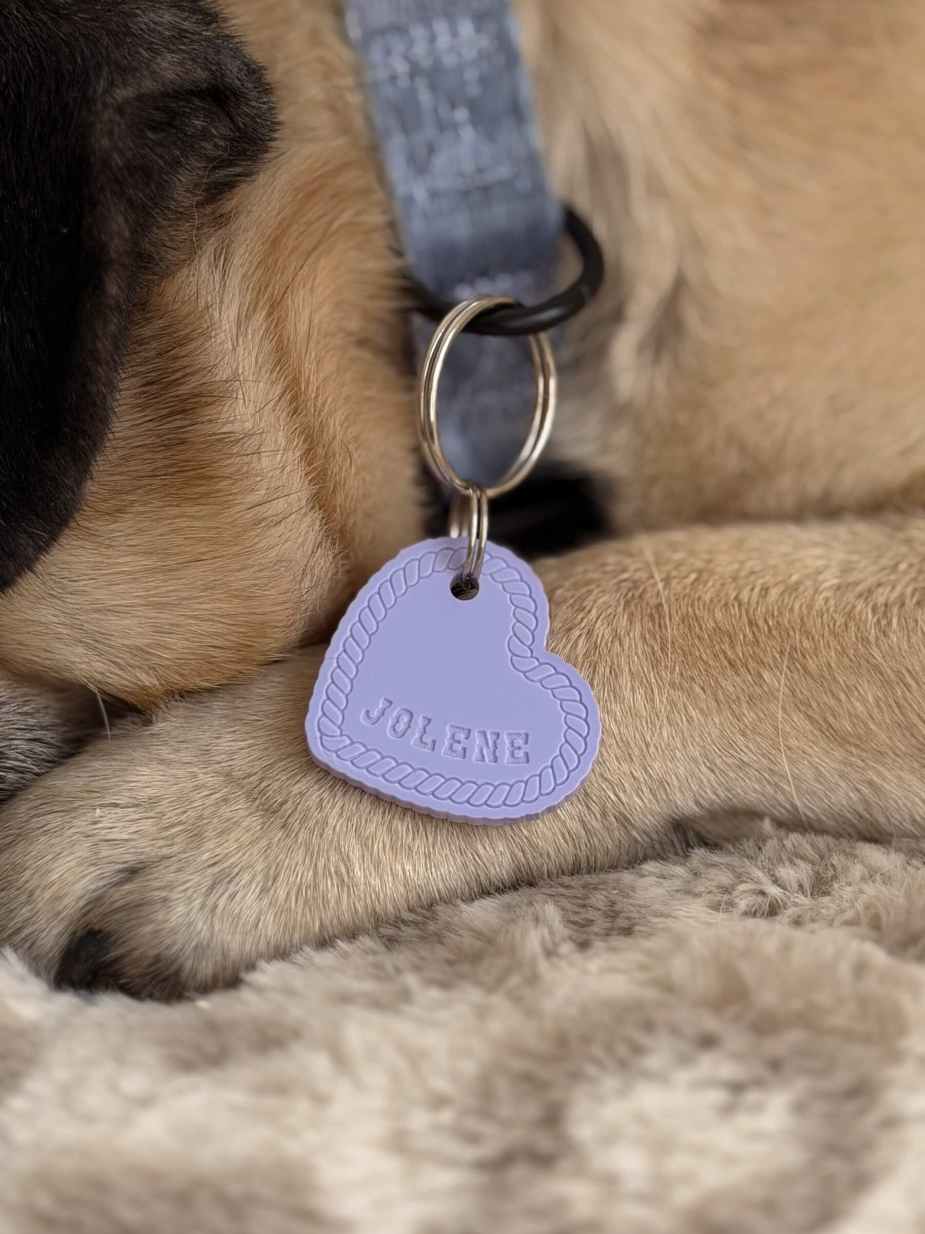 Texas Rope Heart Shape Pet ID Tag - Image 4