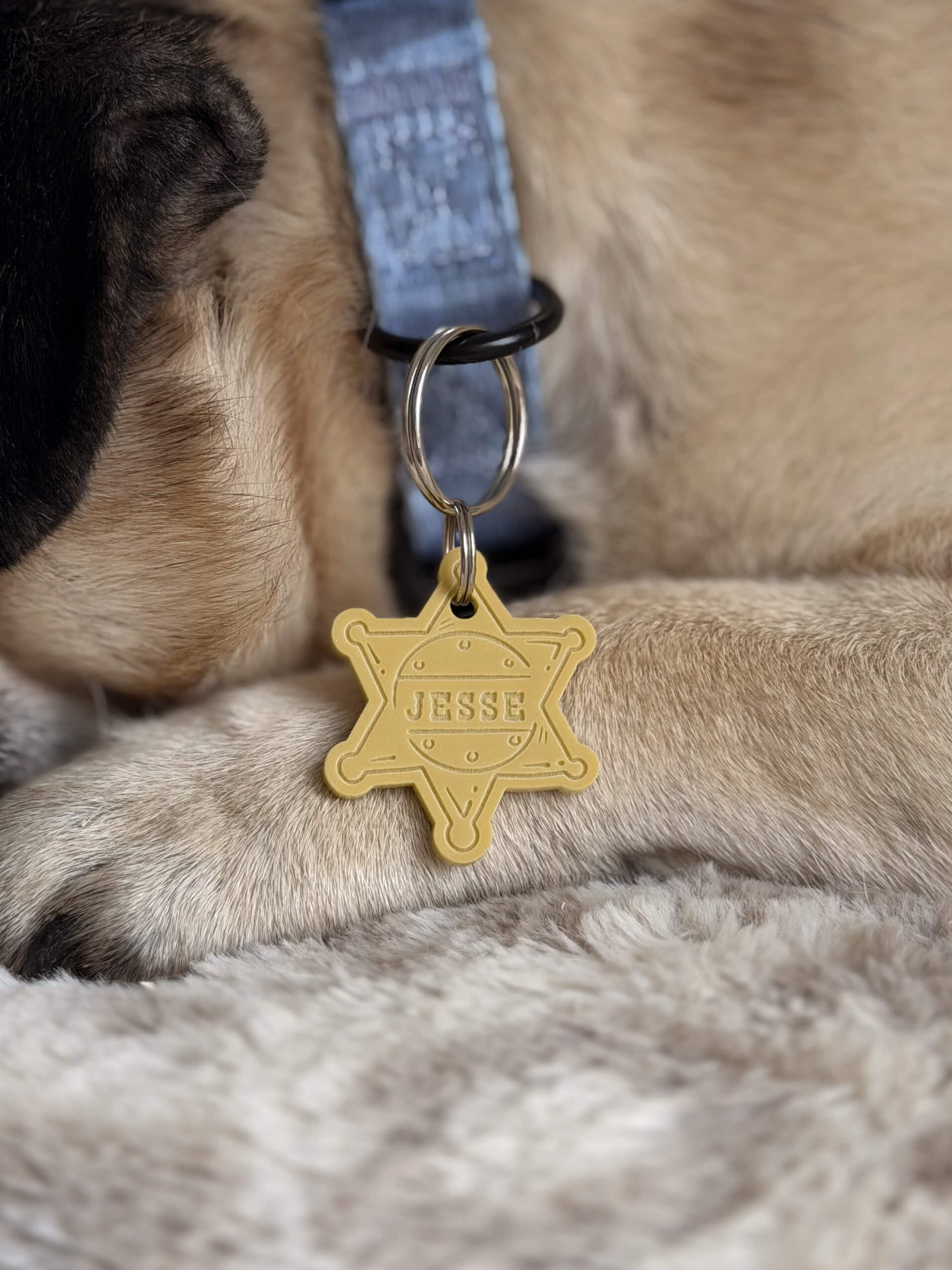 Texas Sheriff Badge Pet ID Tag - Image 4
