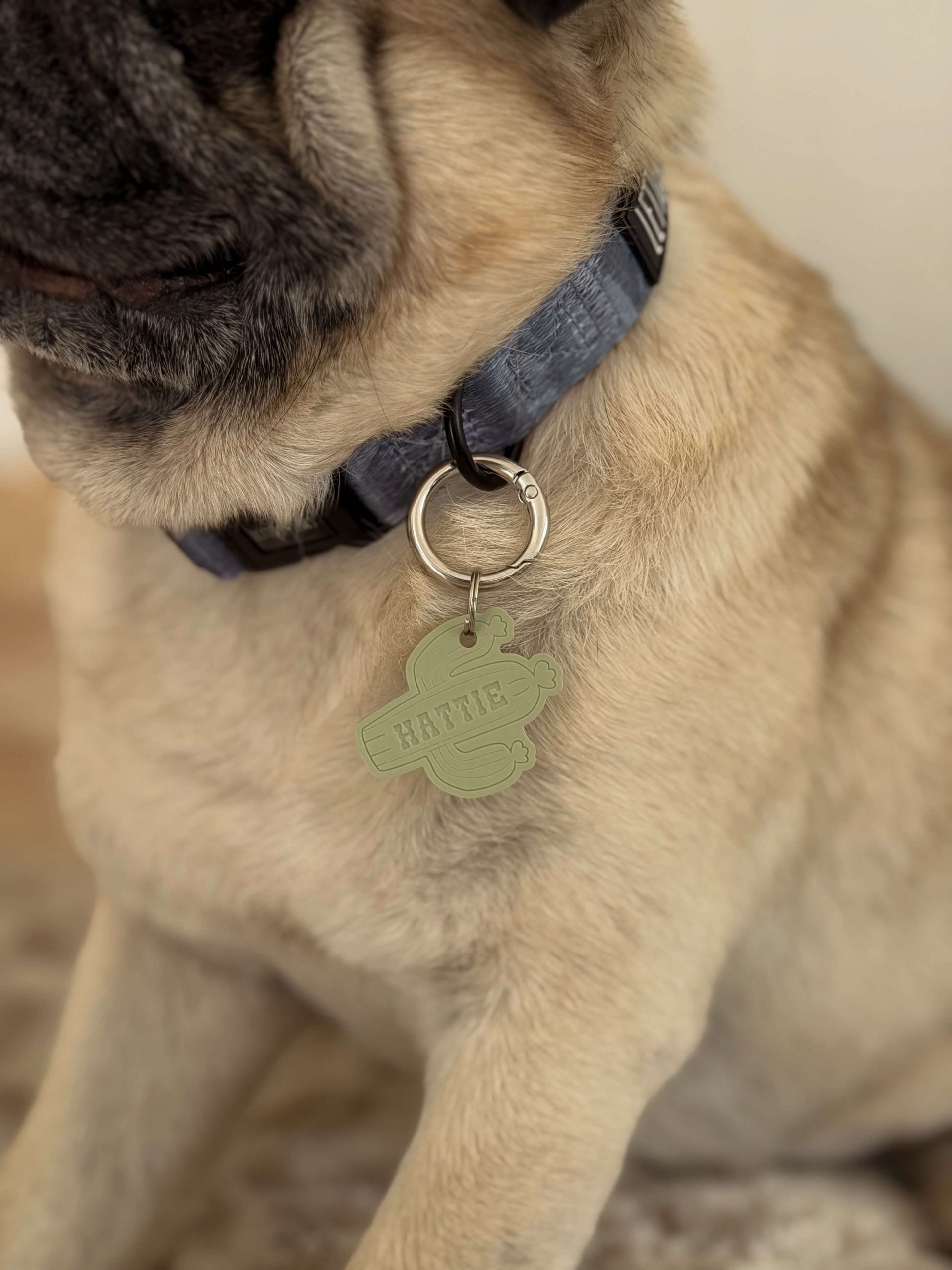 Cactus Shape Pet ID Tag - Image 3
