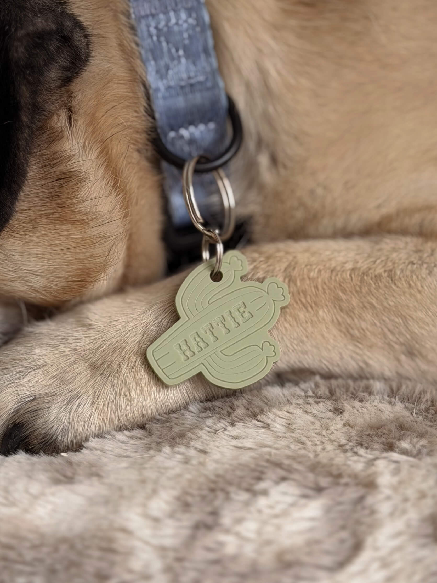 Cactus Shape Pet ID Tag - Image 4