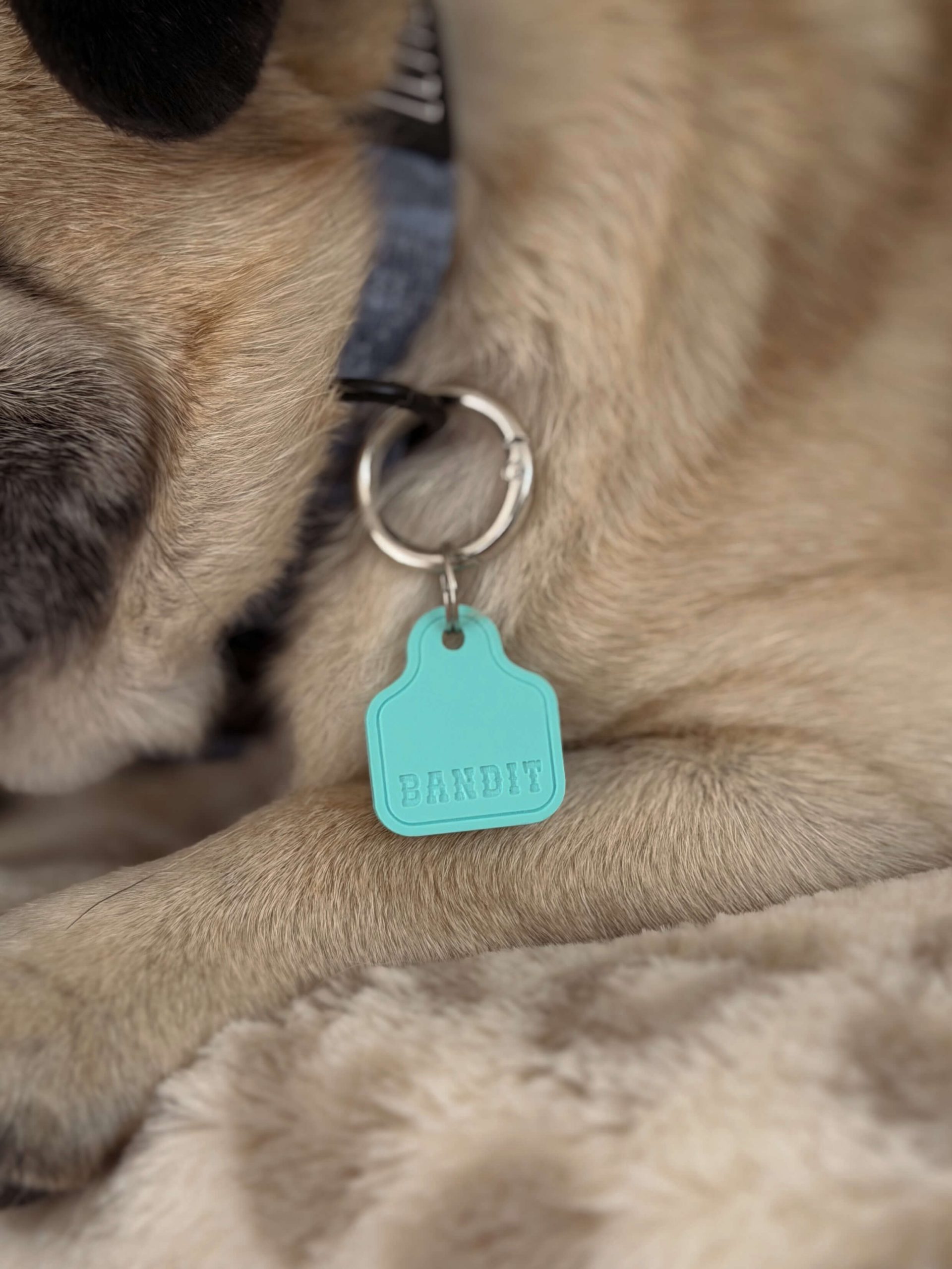 Cattle Tag Shape Pet ID Tag - Image 4