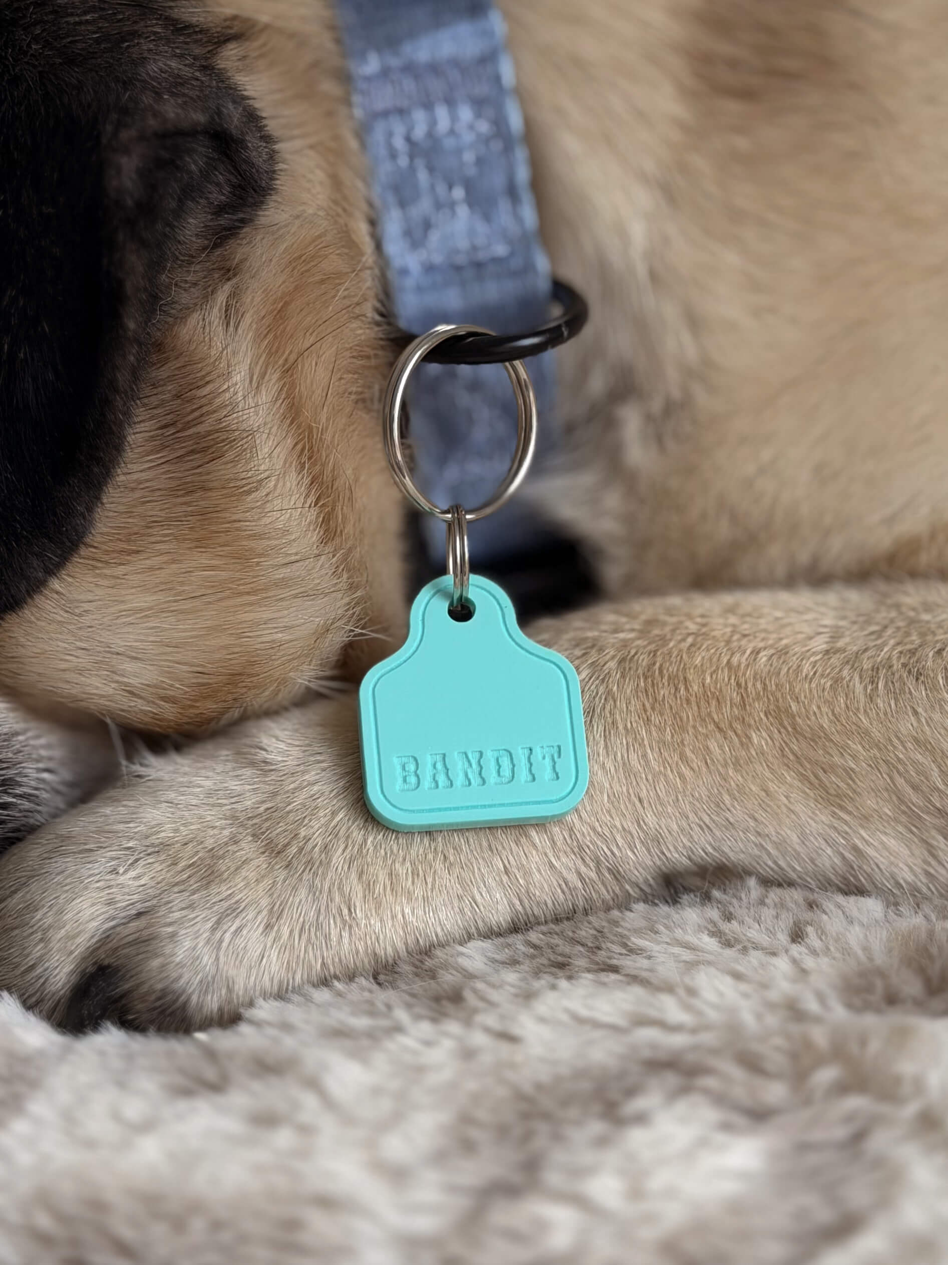 Cattle Tag Shape Pet ID Tag - Image 3