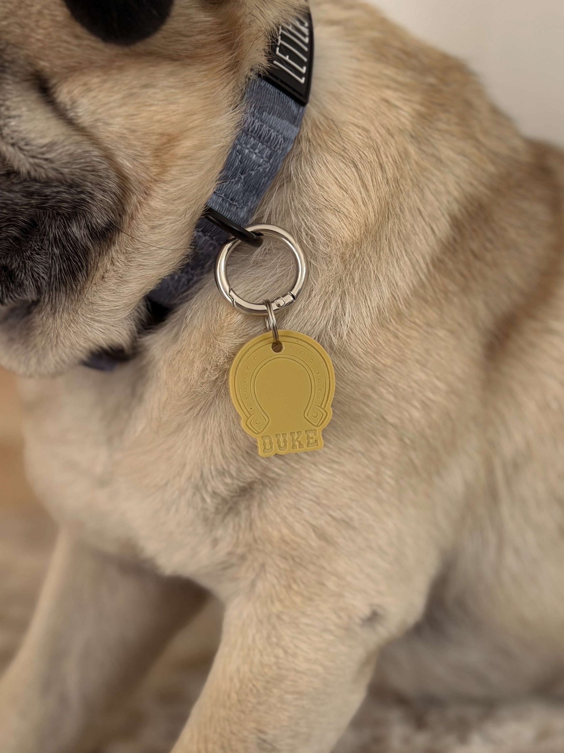 Horseshoe Shape Pet ID Tag - Image 3
