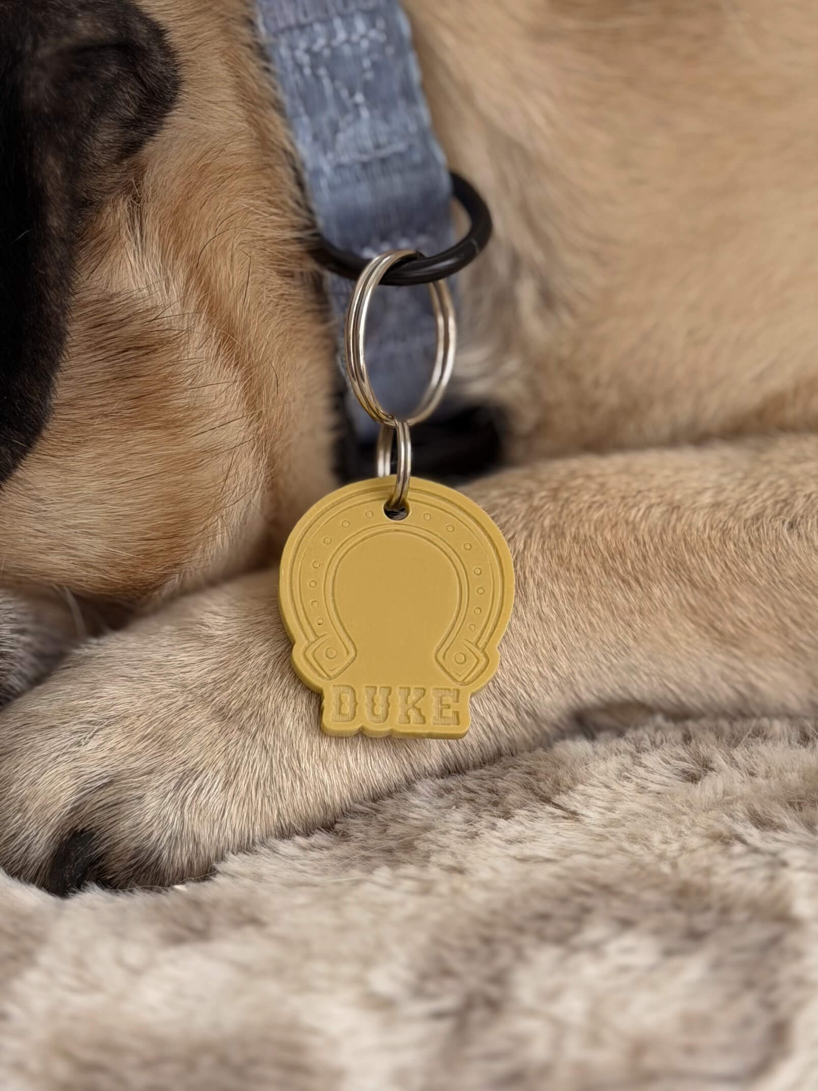 Horseshoe Shape Pet ID Tag - Image 4
