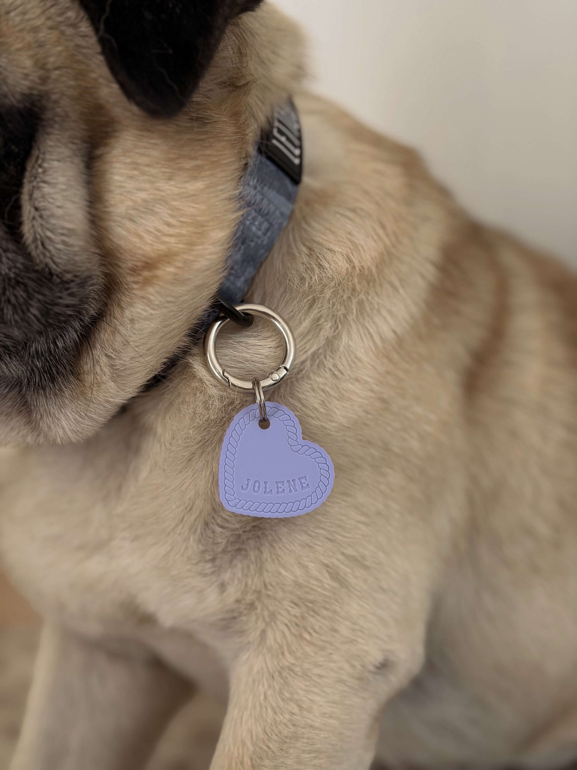 Texas Rope Heart Shape Pet ID Tag - Image 3